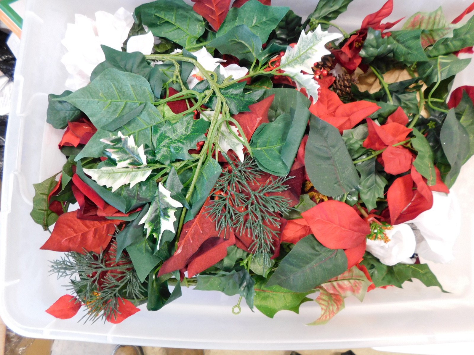 DSCN3155.JPG