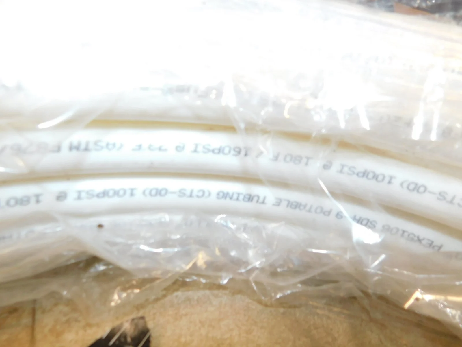 DSCN3683.JPG