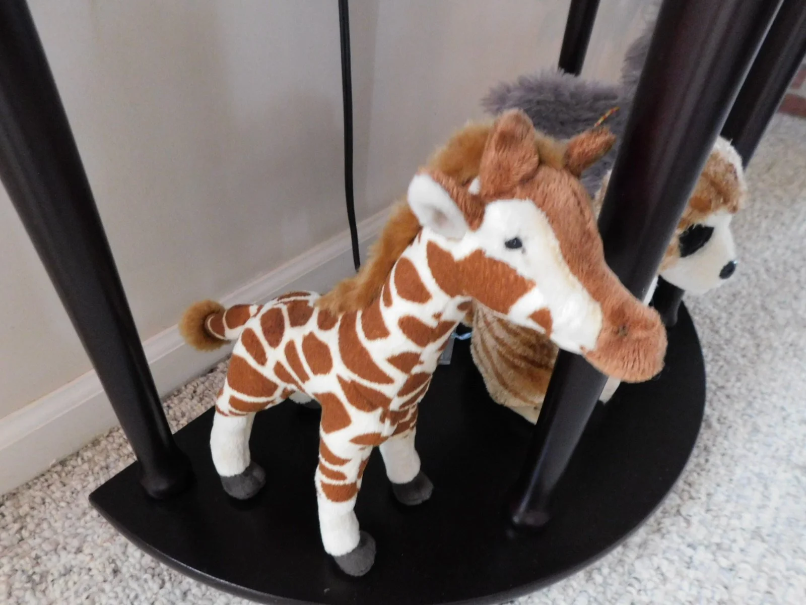 DSCN3338.JPG