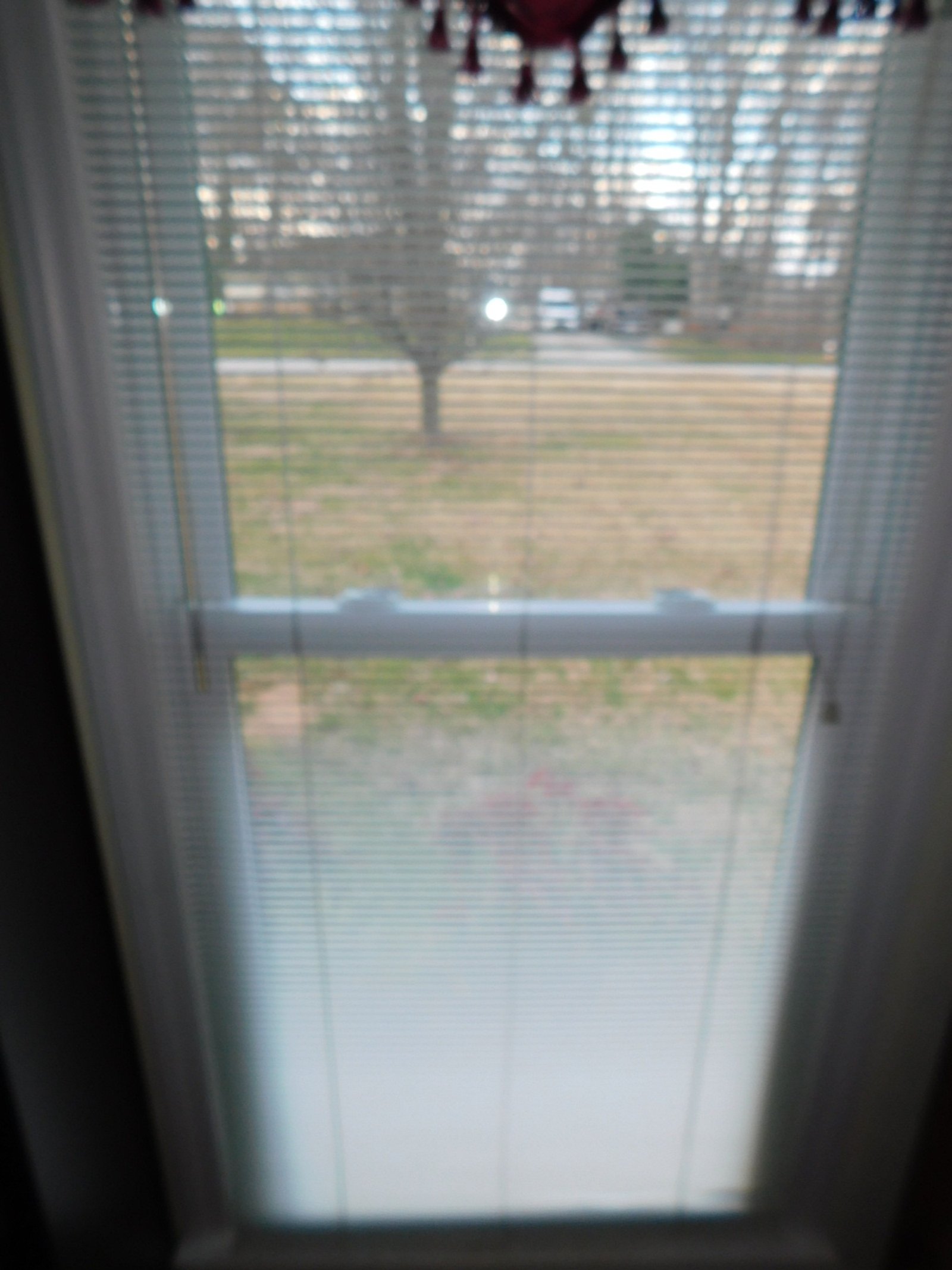 DSCN3378.JPG