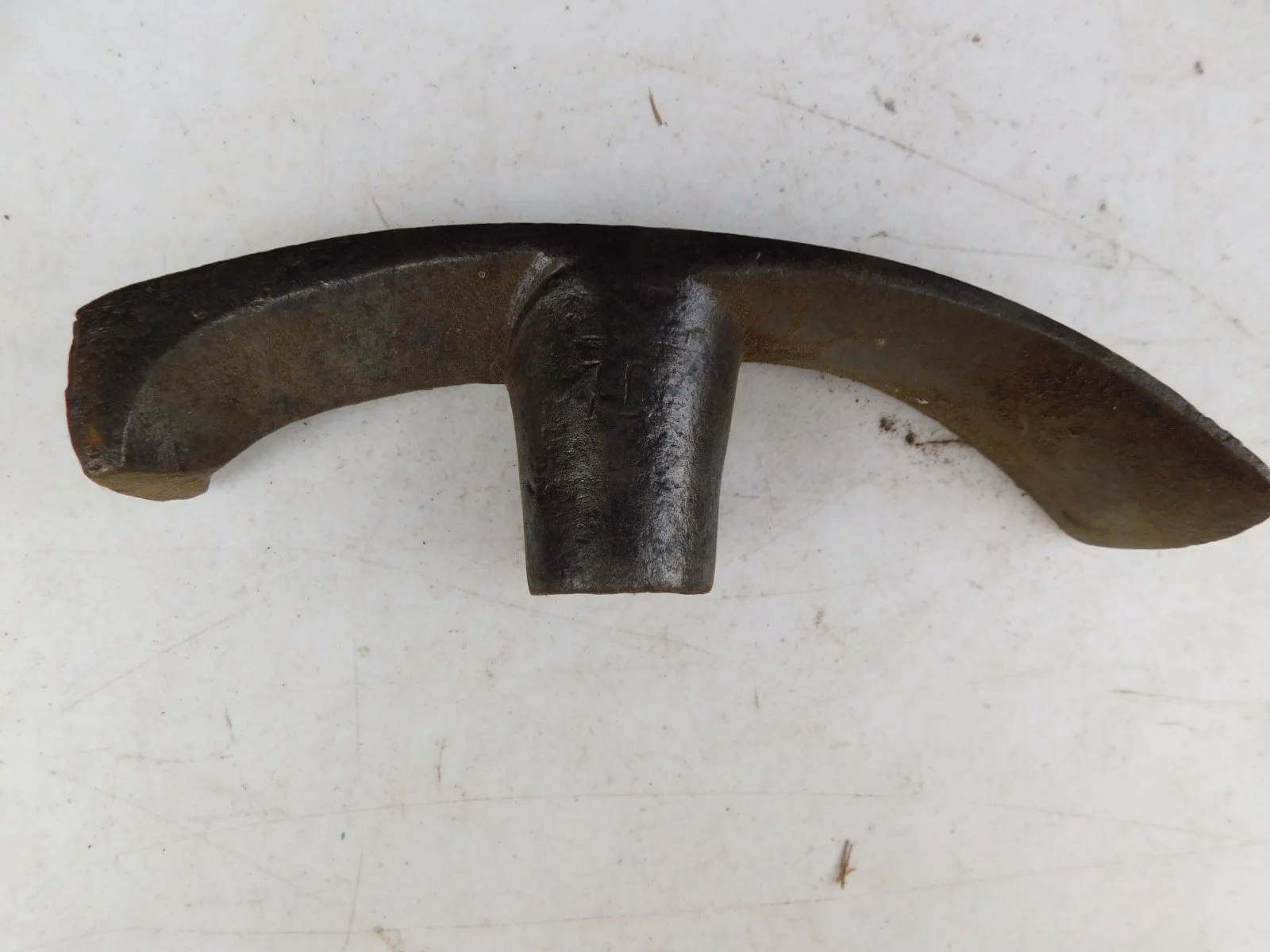 DSCN4557.JPG