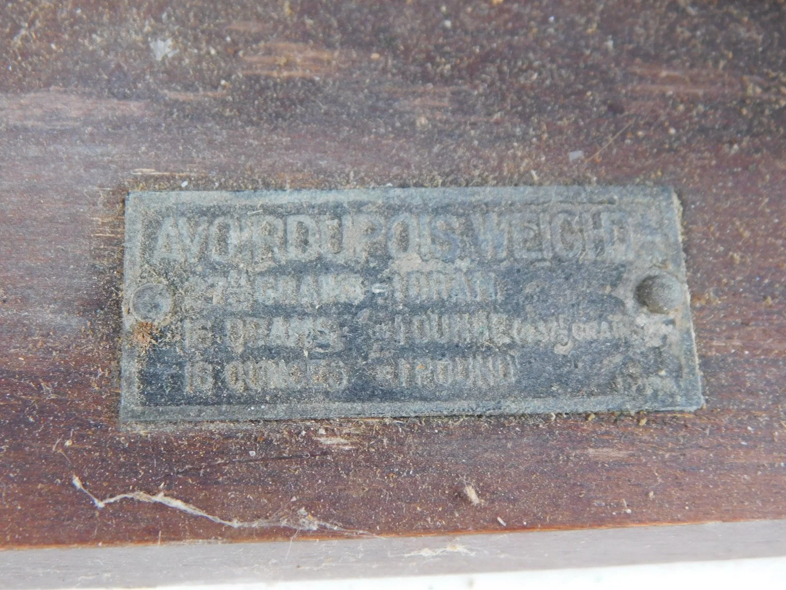 DSCN4690.JPG