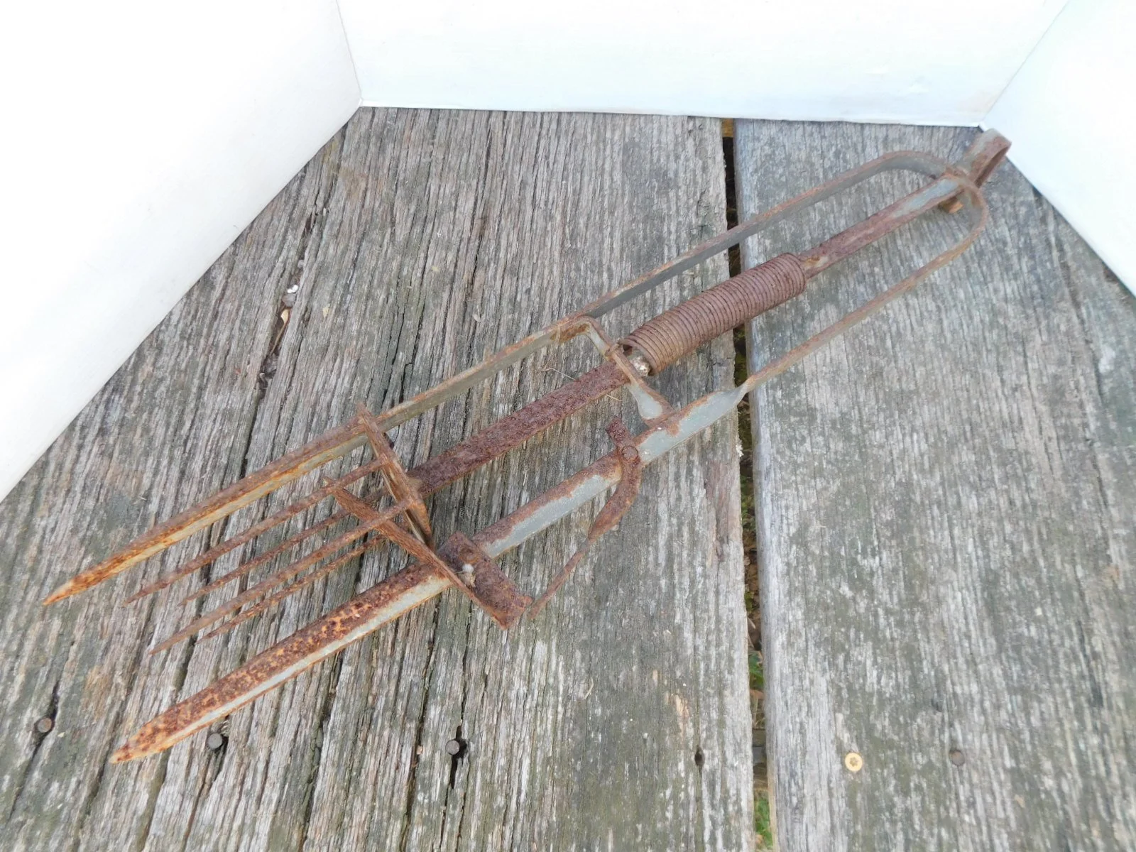 DSCN4905.JPG