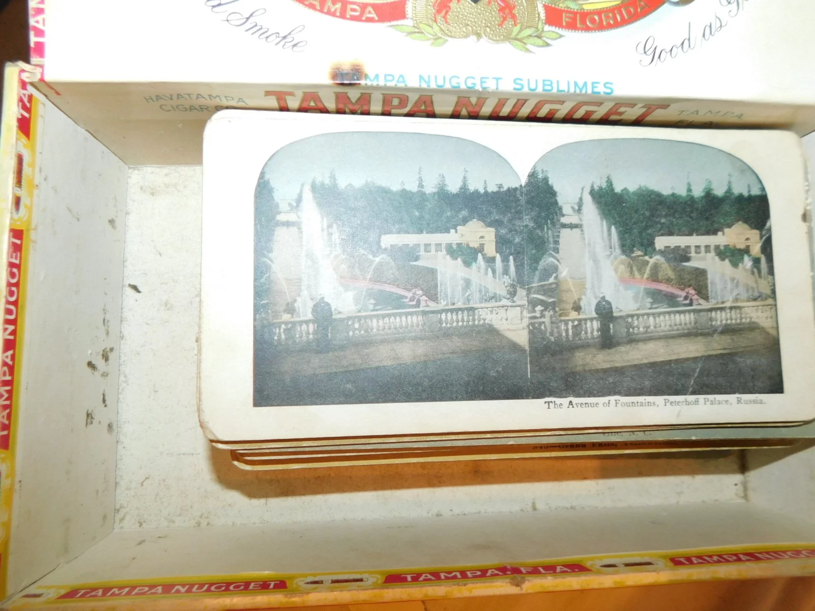 DSCN5003.JPG