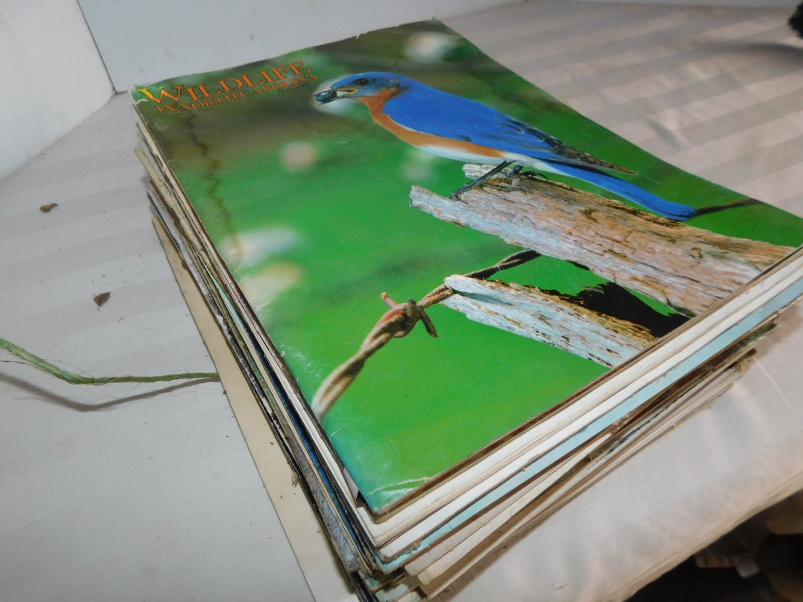 DSCN5198.JPG