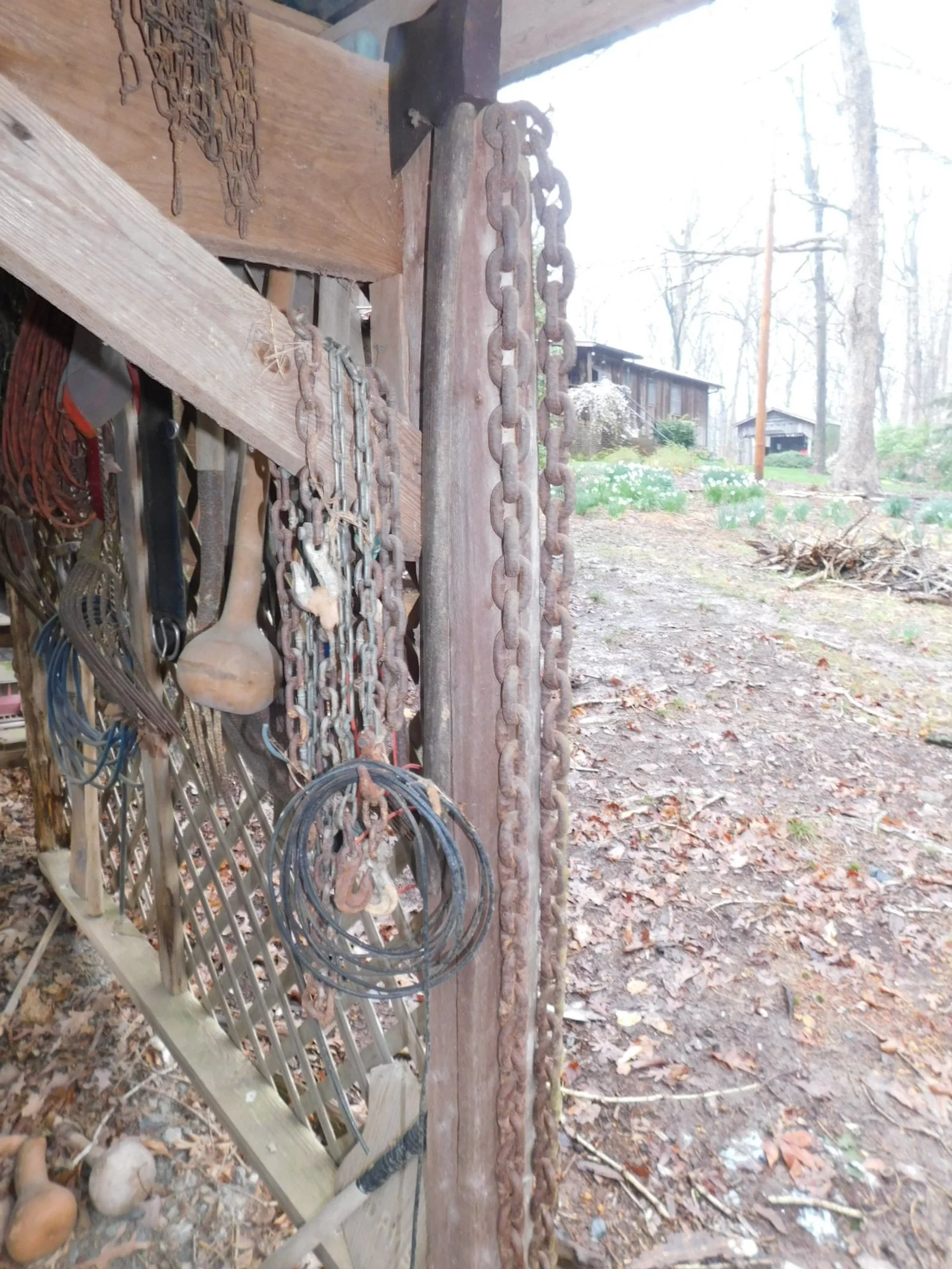 DSCN5230.JPG