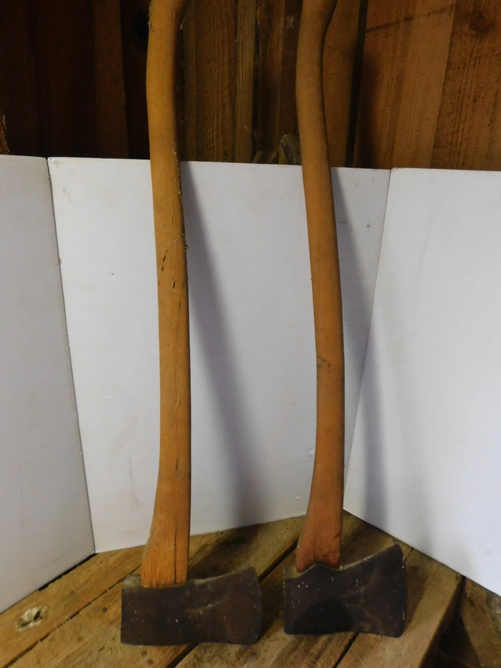 DSCN5255.JPG