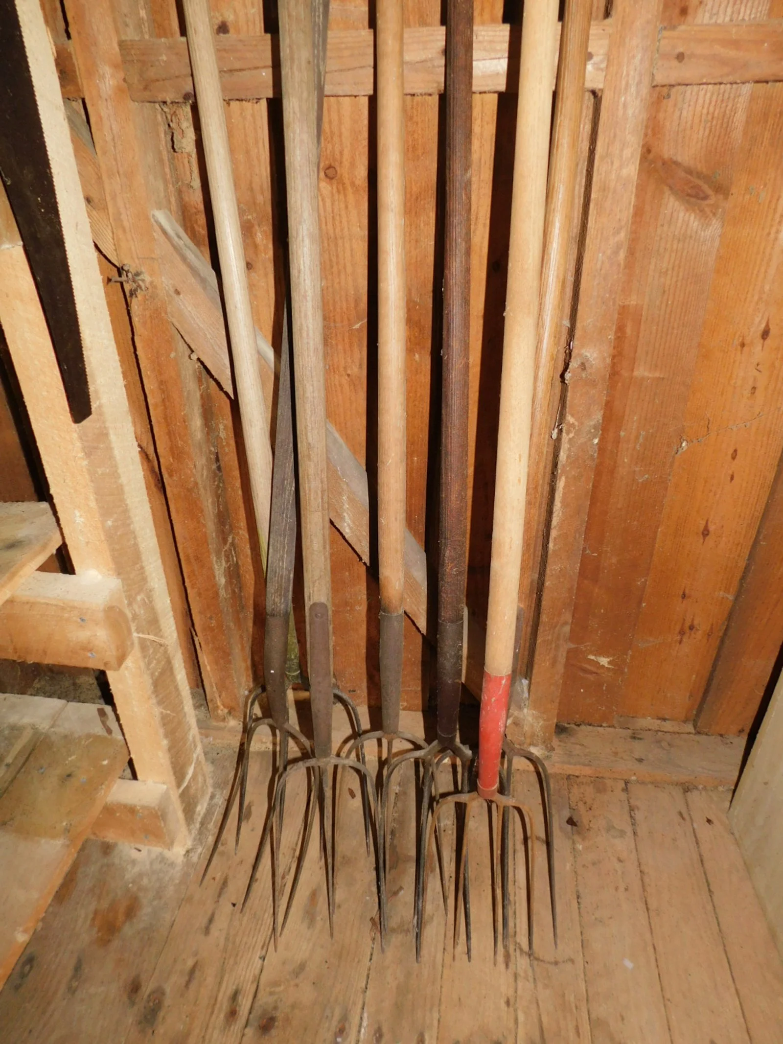 DSCN5260.JPG