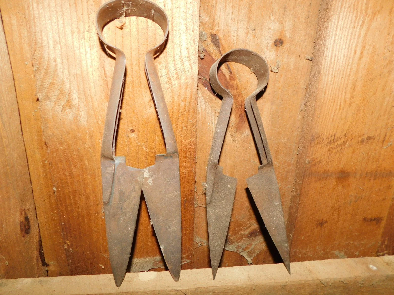 DSCN5273.JPG