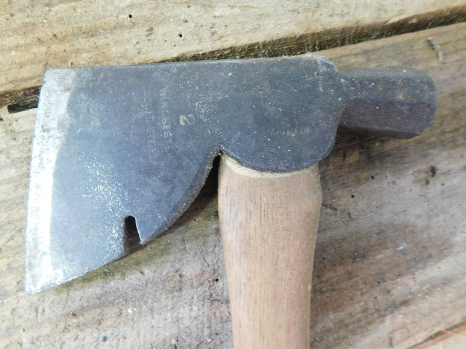 DSCN5309.JPG