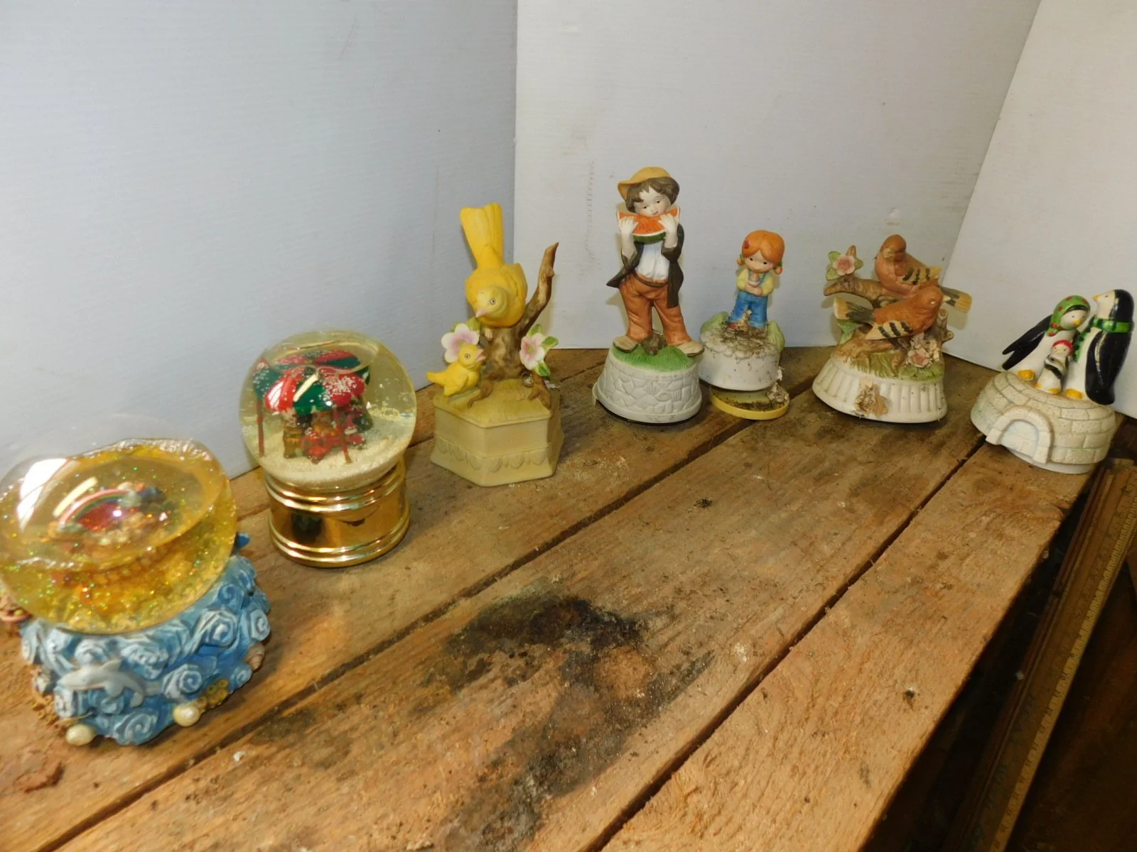 DSCN5318.JPG