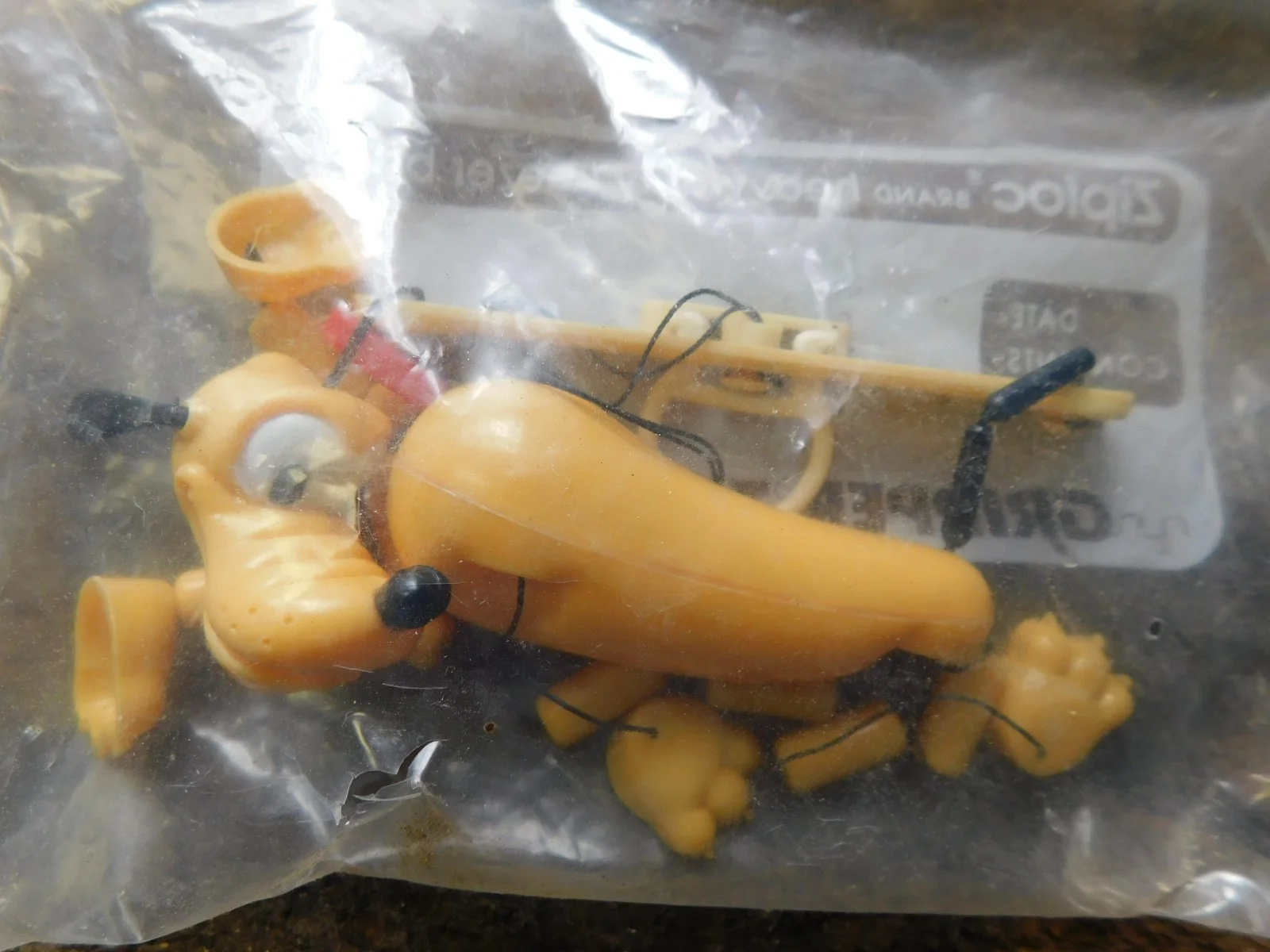 DSCN5320.JPG