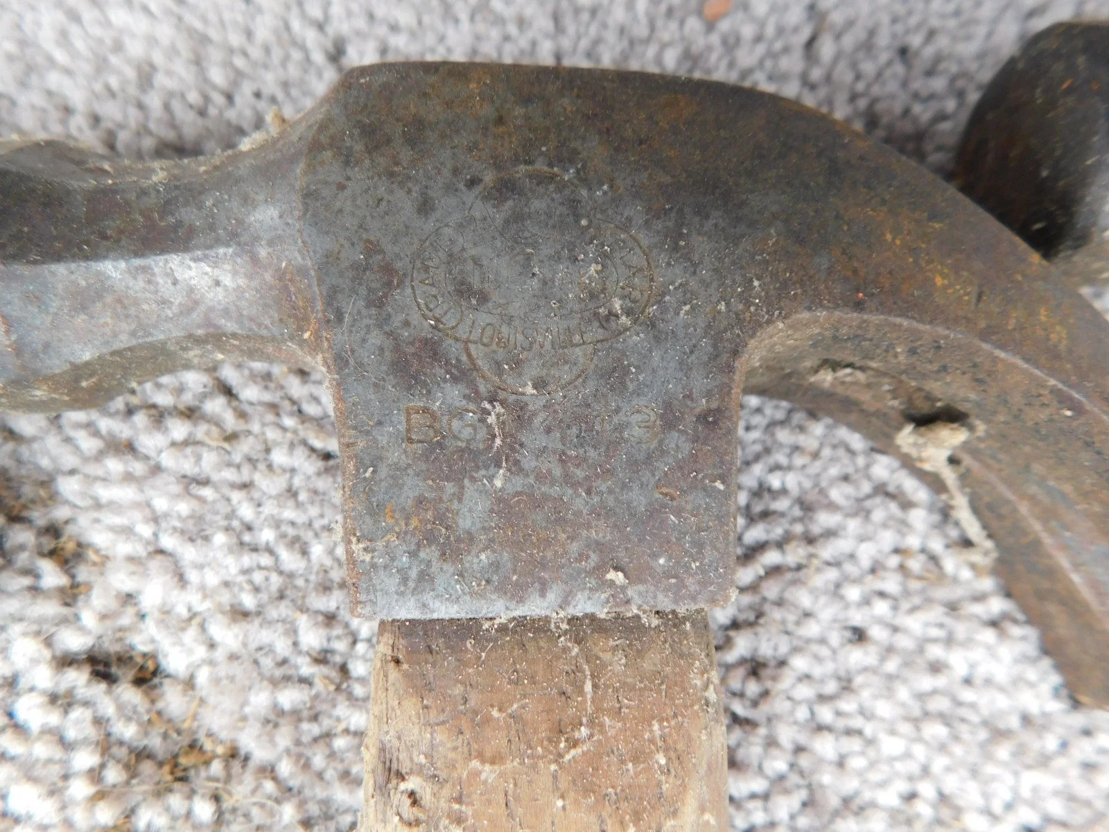DSCN5335.JPG