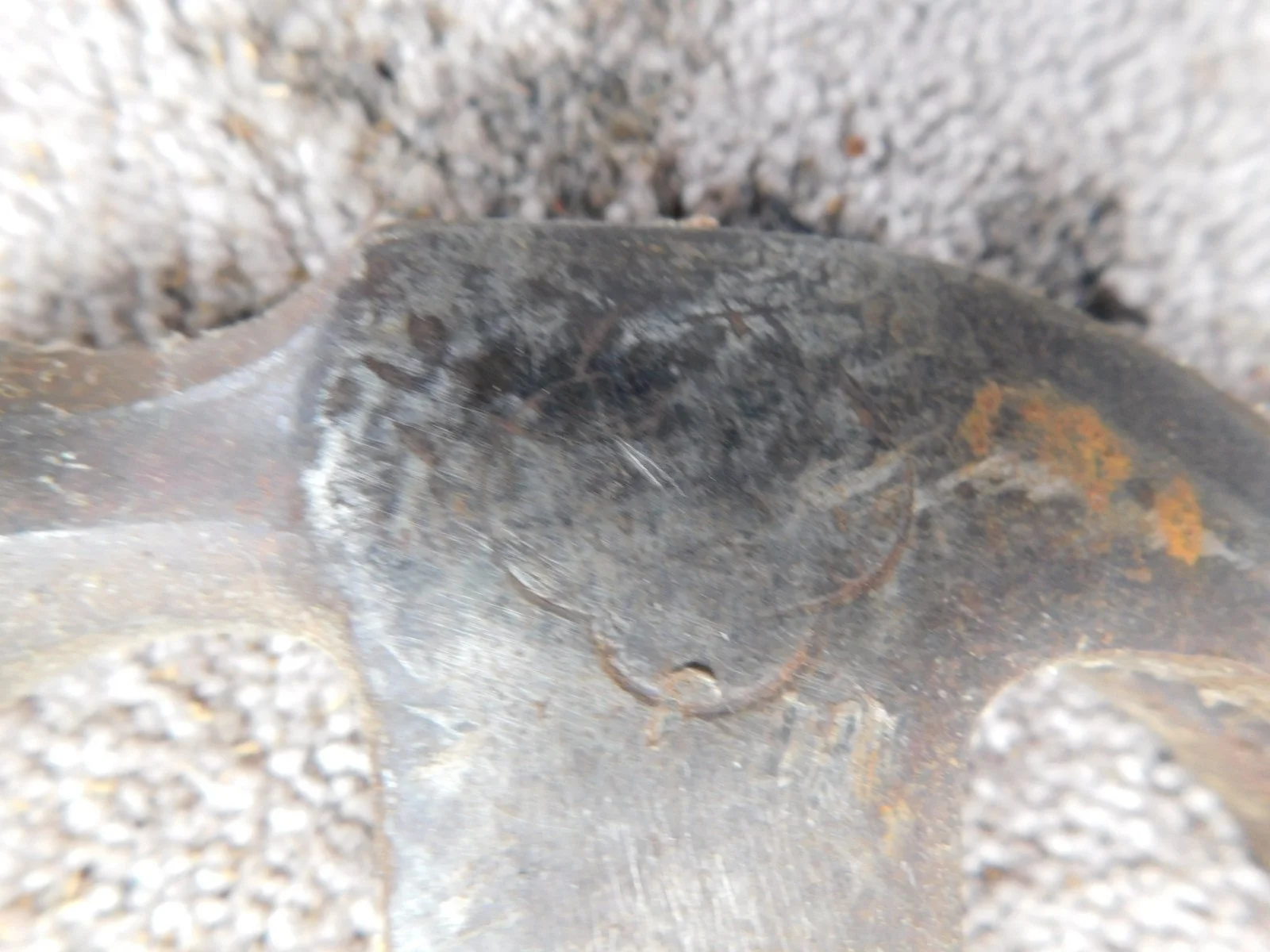 DSCN5336.JPG