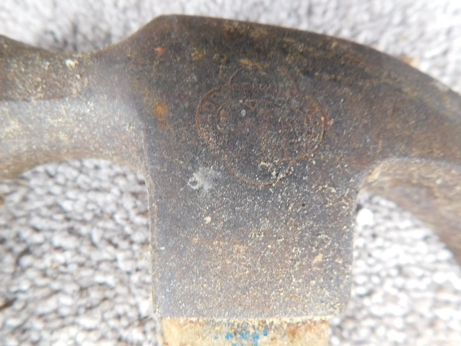 DSCN5337.JPG
