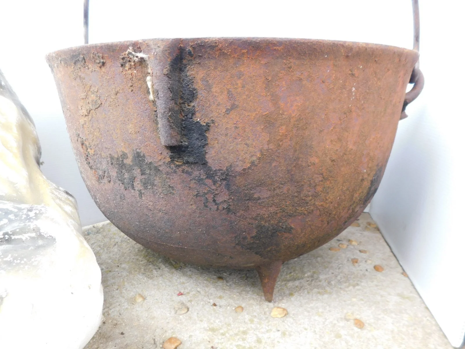 DSCN5349.JPG