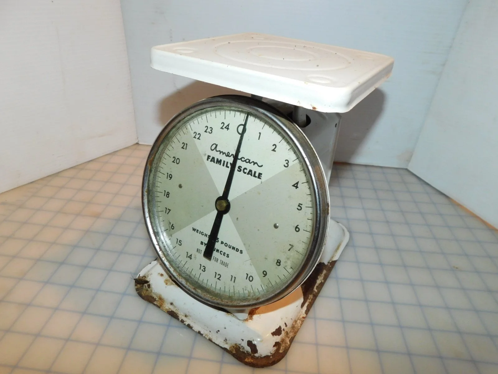 DSCN5373.JPG