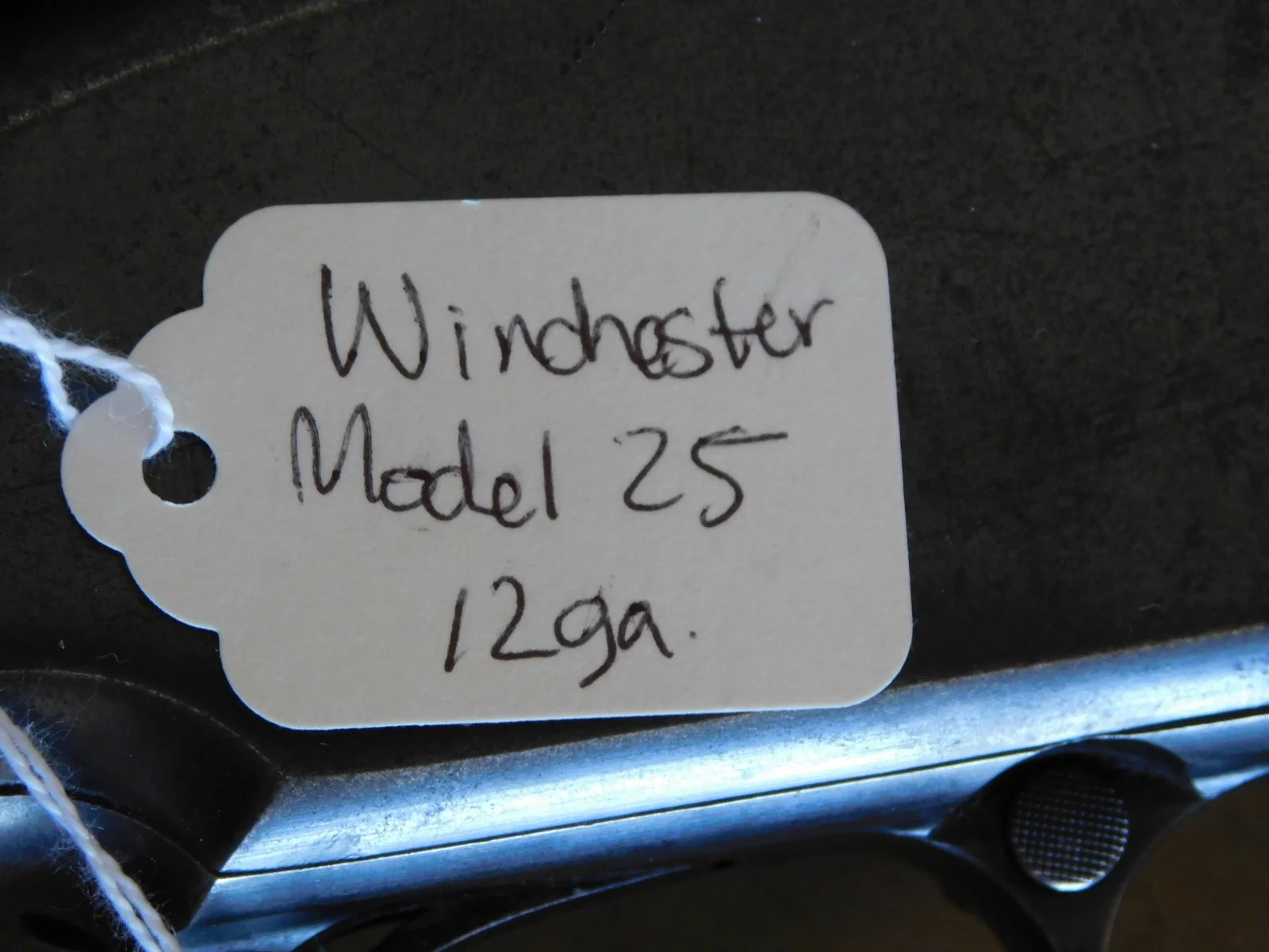 DSCN5606.JPG