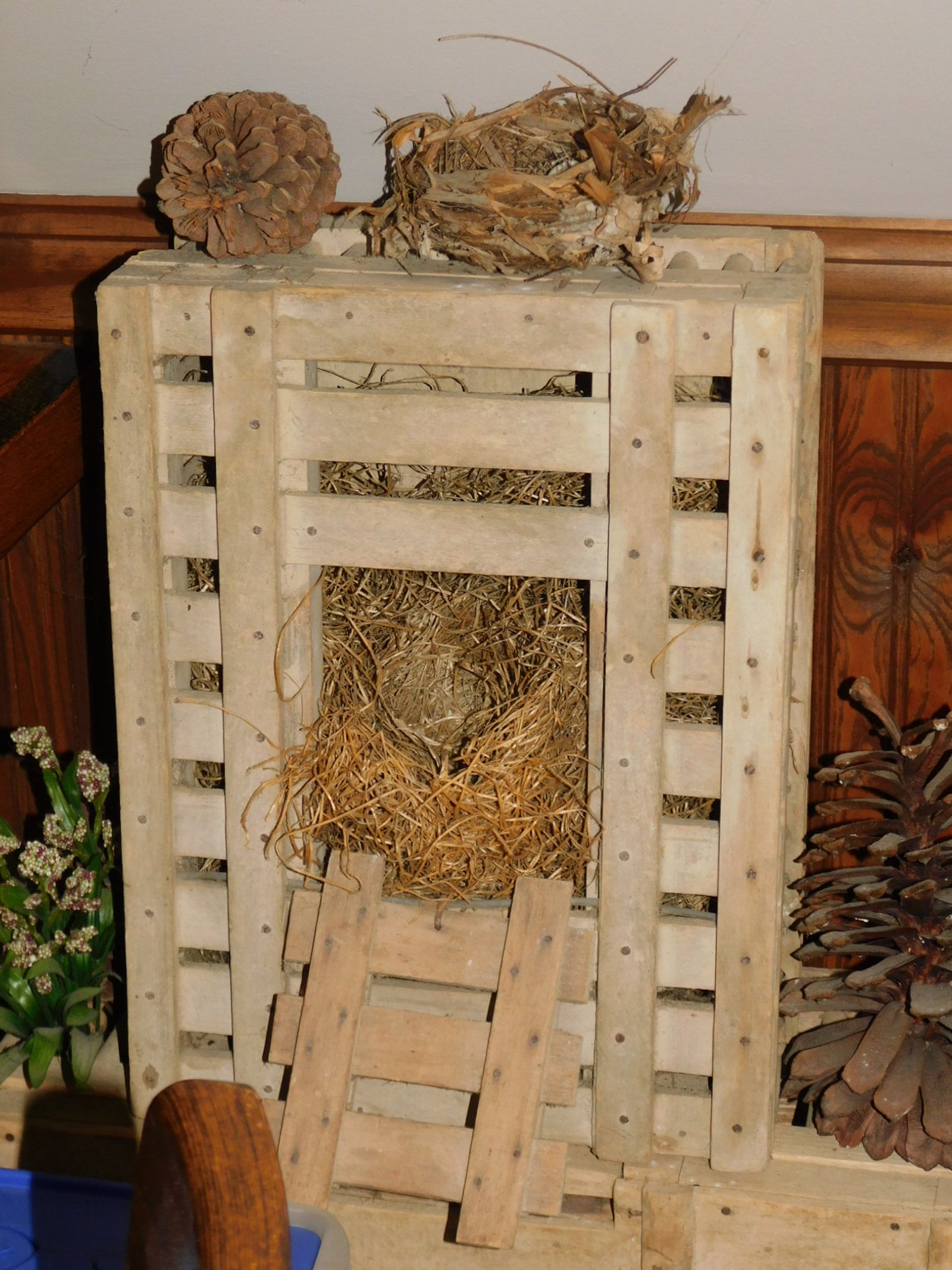 DSCN5726.JPG