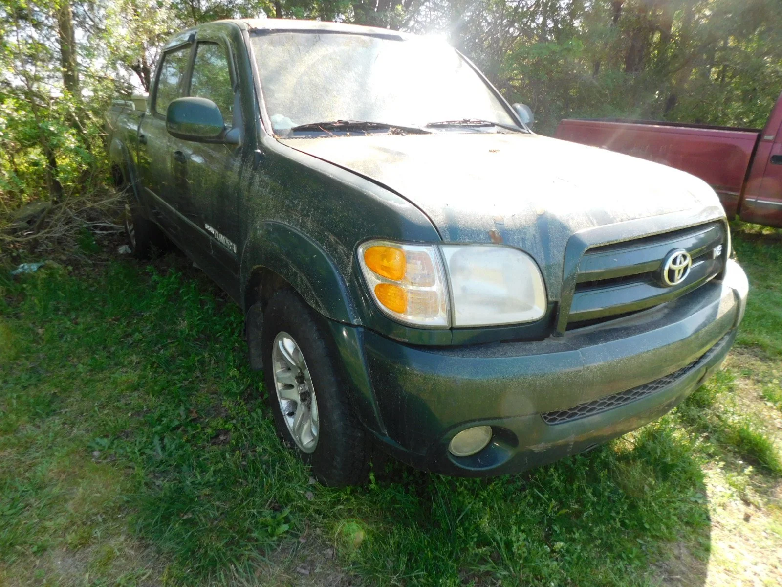 DSCN6380.JPG