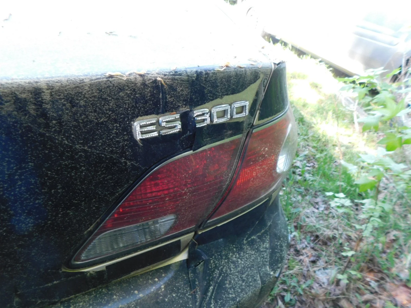 DSCN6414.JPG