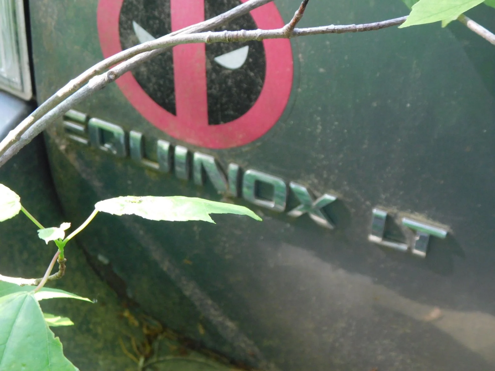 DSCN6415.JPG