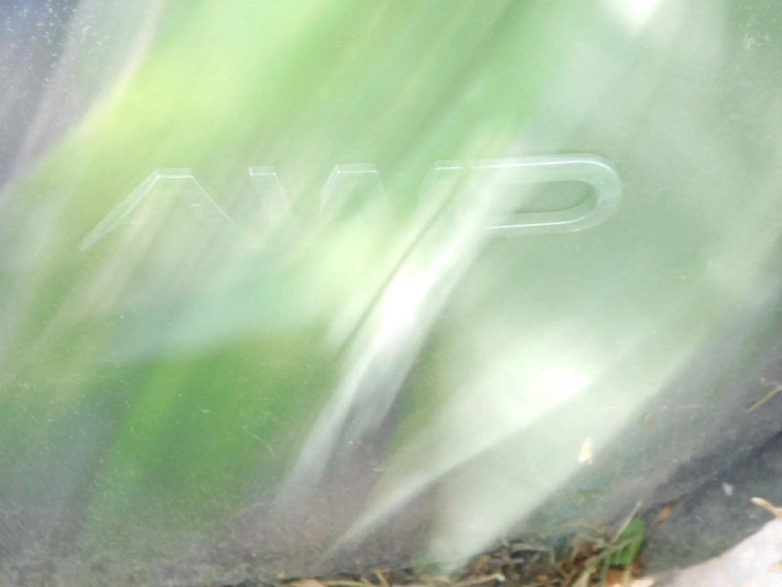 DSCN6416.JPG