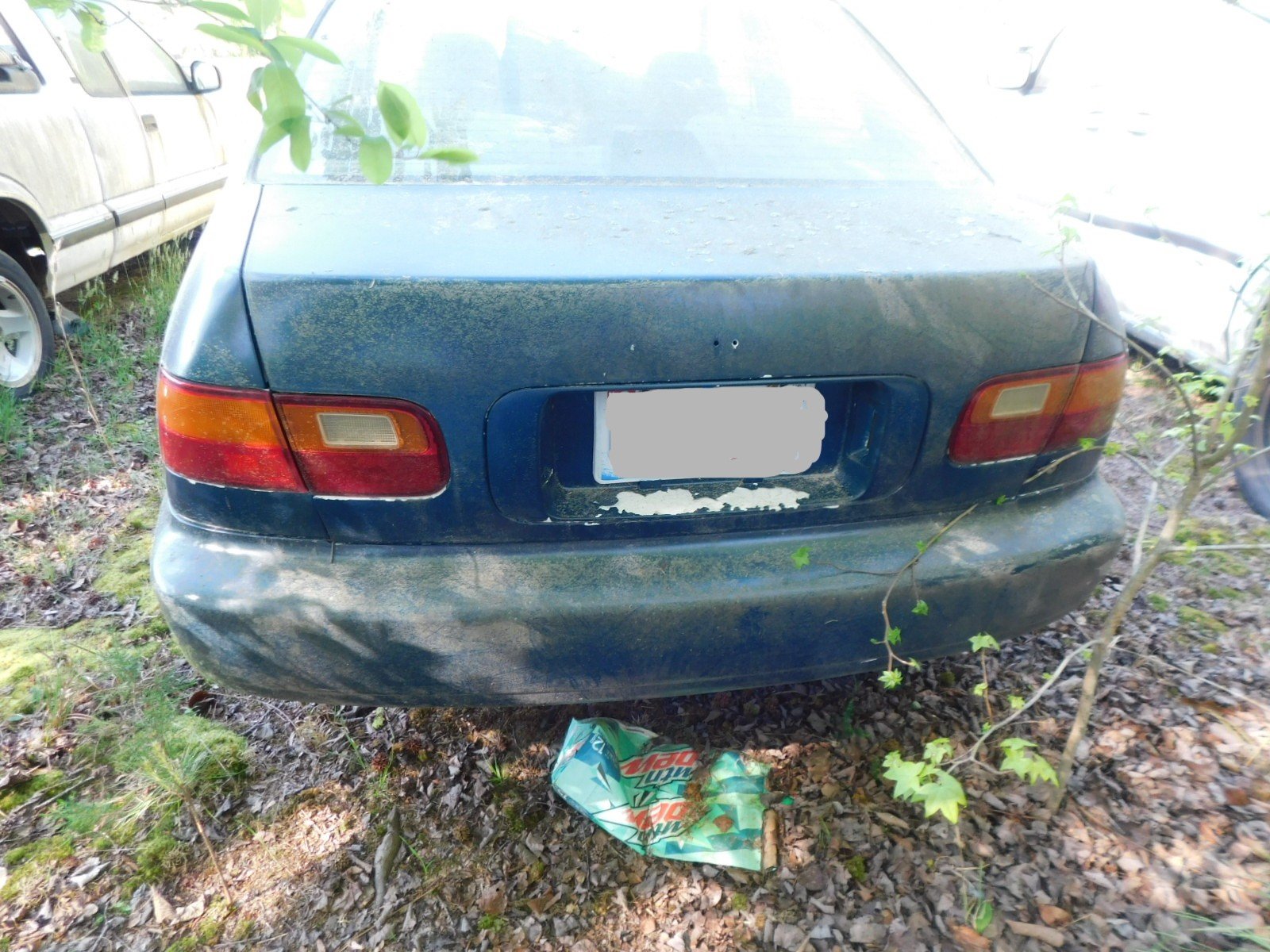 DSCN6424.JPG