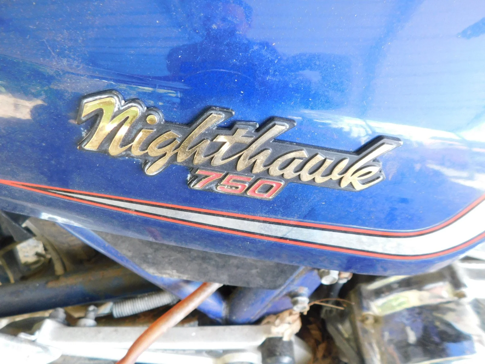 DSCN6725.JPG