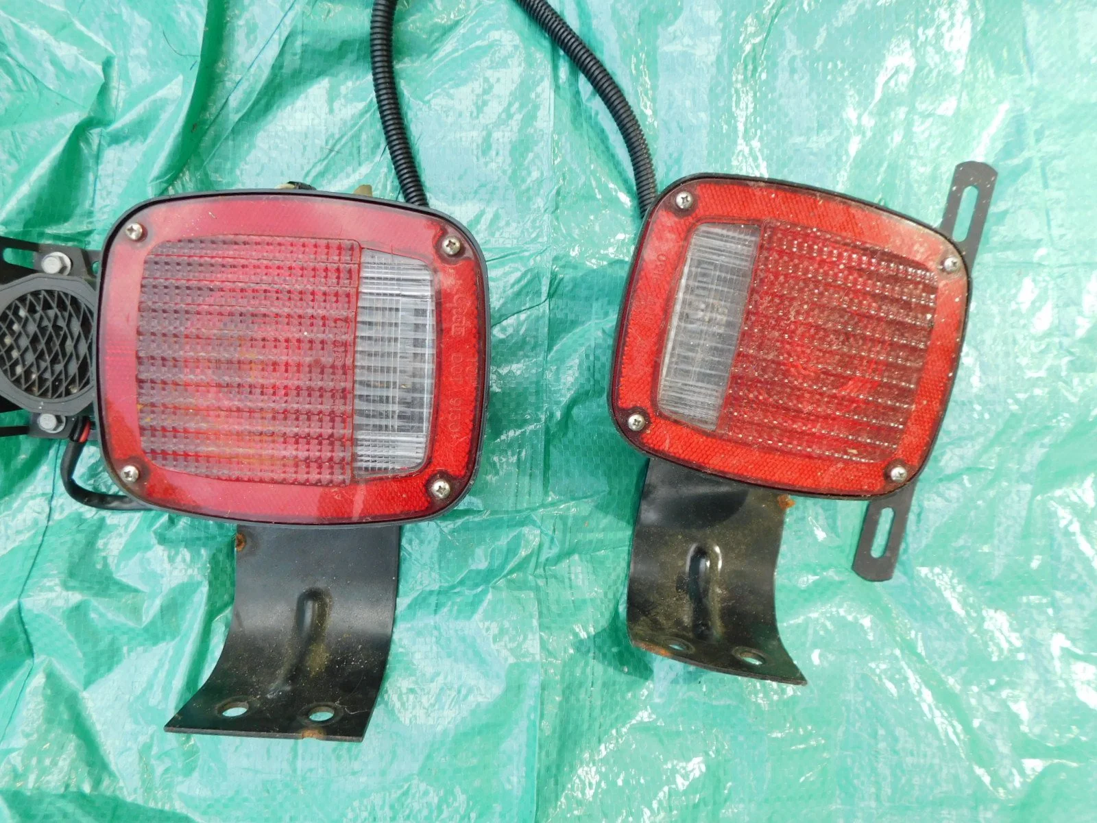 DSCN7124.JPG