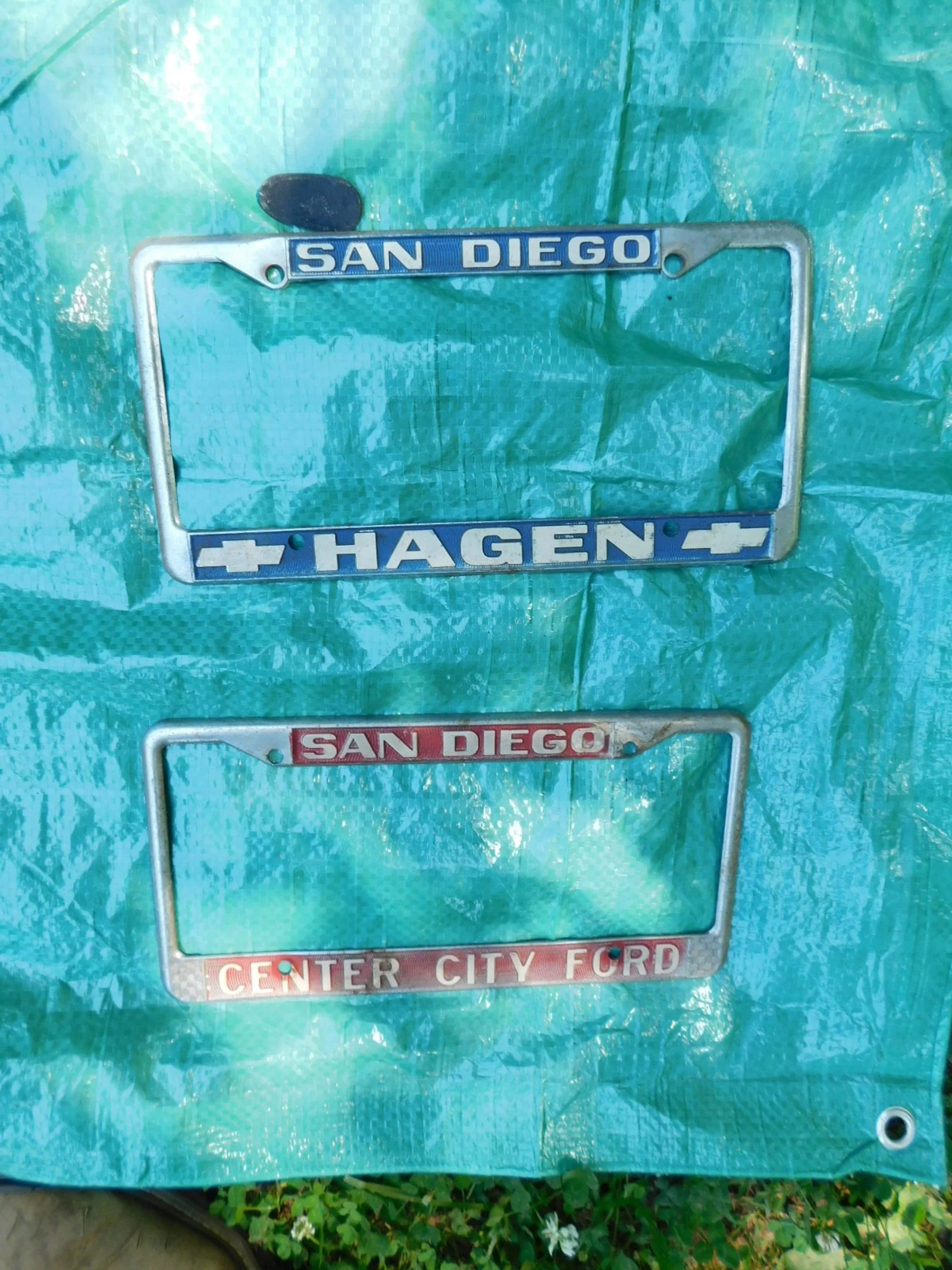 DSCN7203.JPG