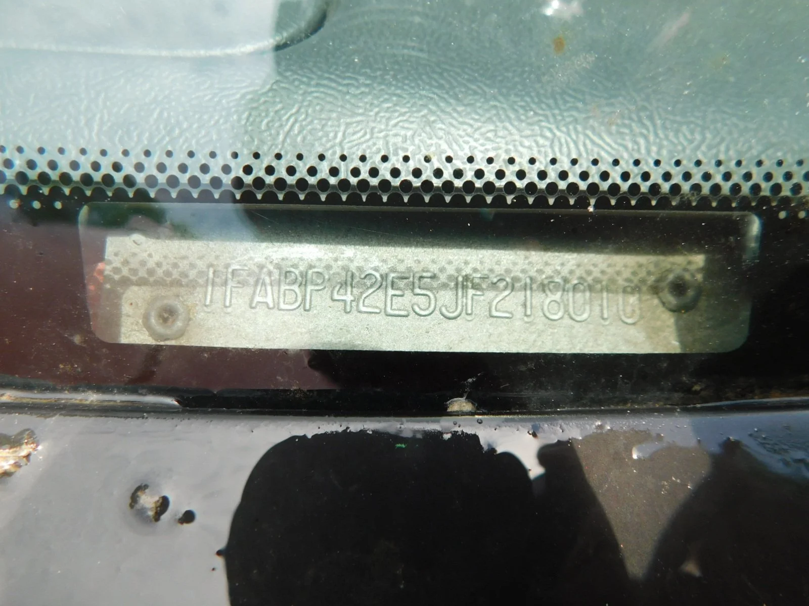 DSCN7330.JPG