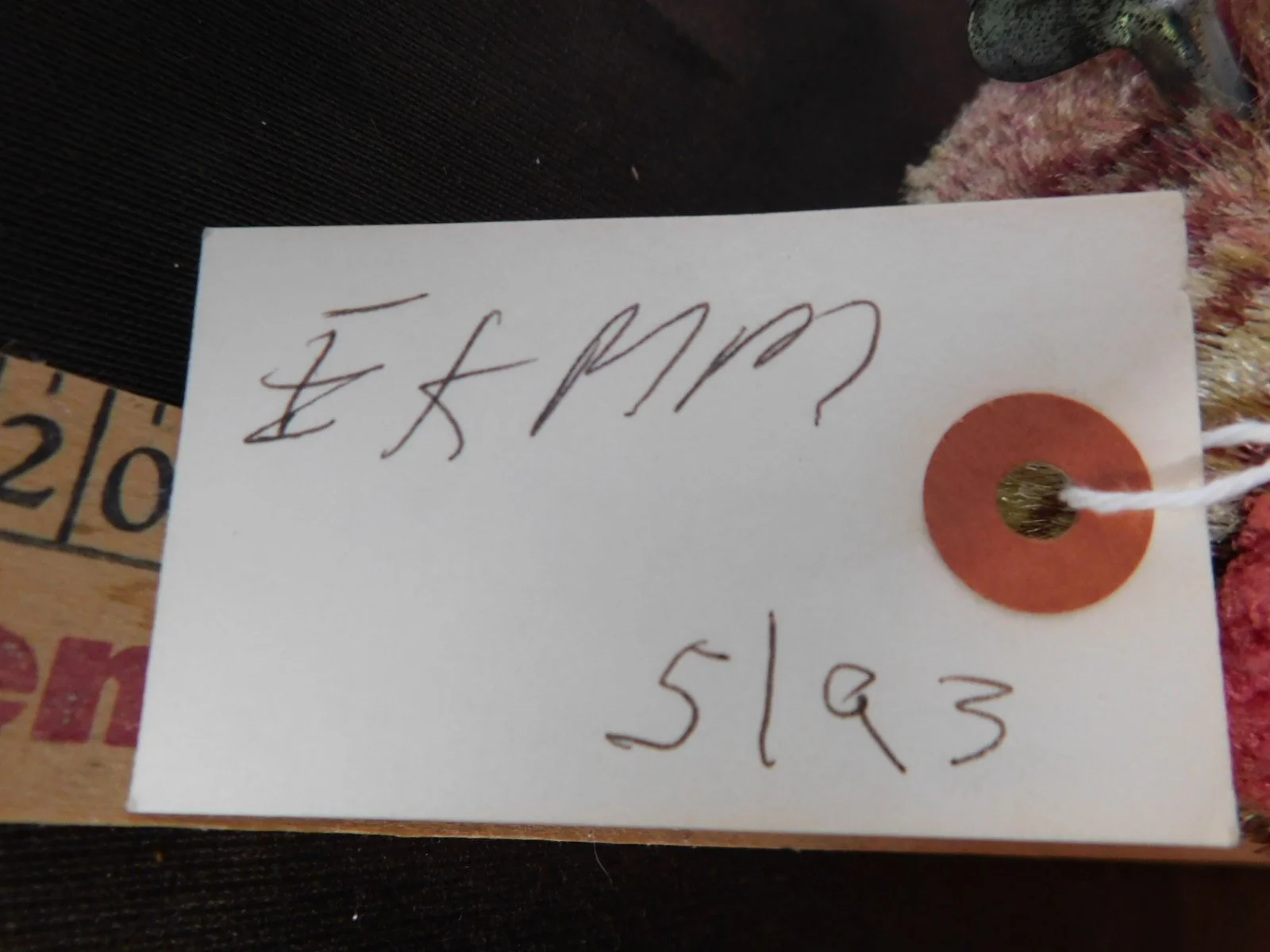 DSCN7403.JPG