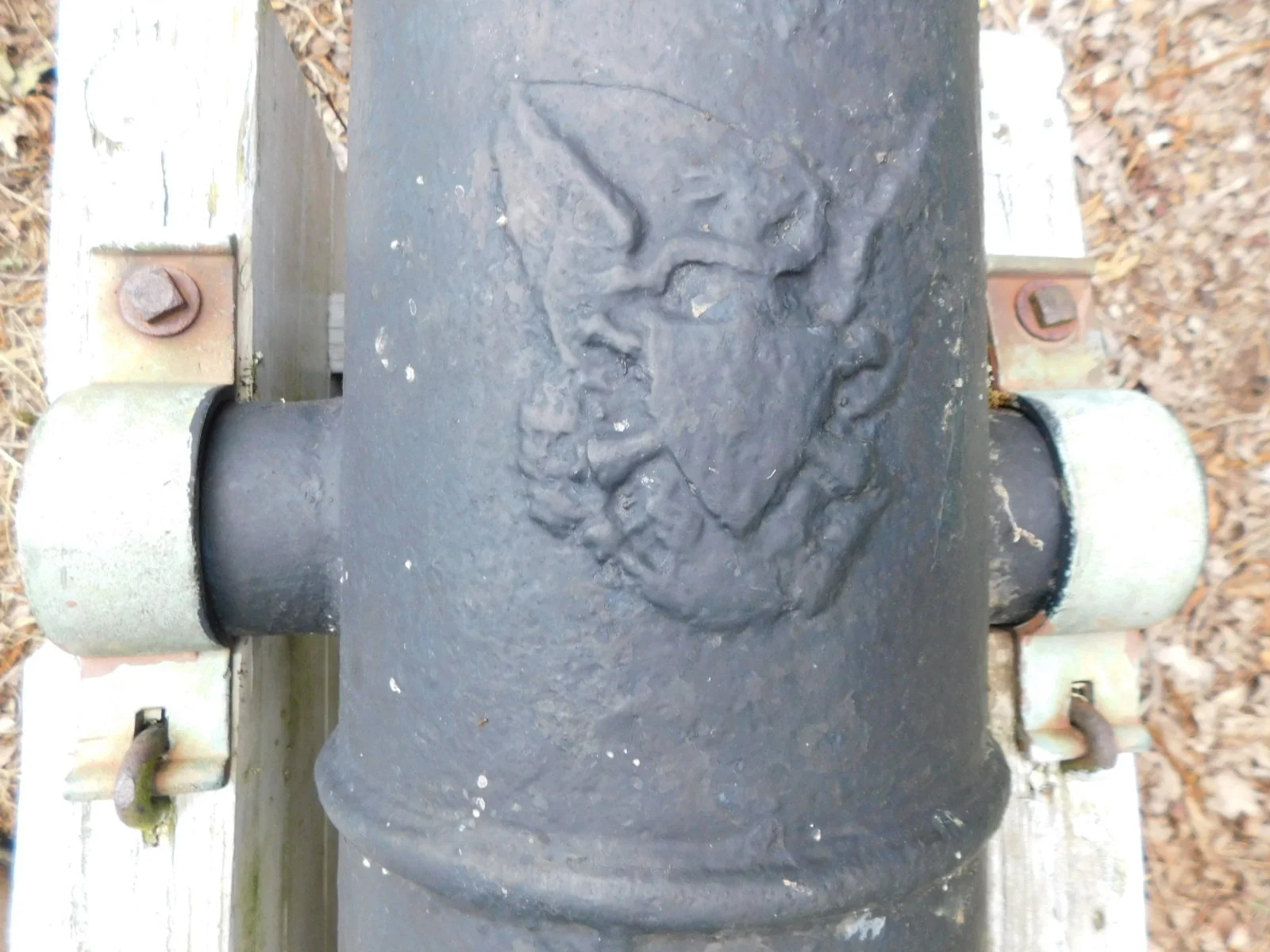 DSCN7674.JPG
