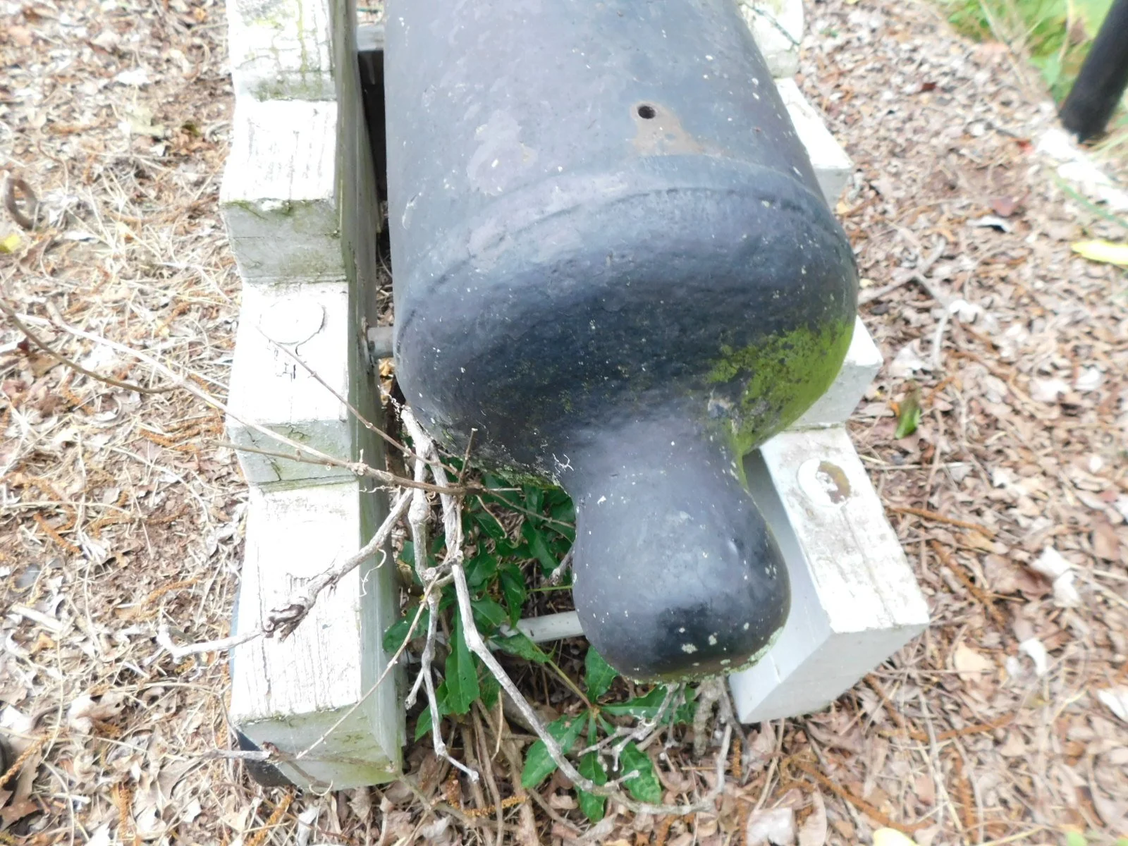 DSCN7675.JPG