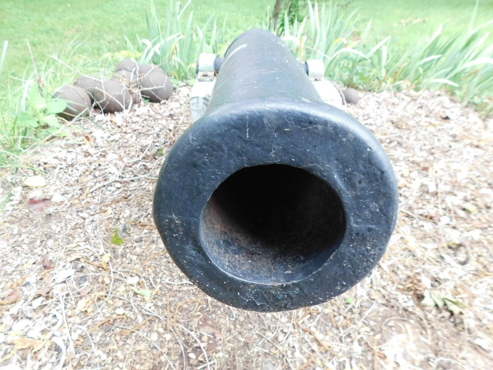 DSCN7676.JPG