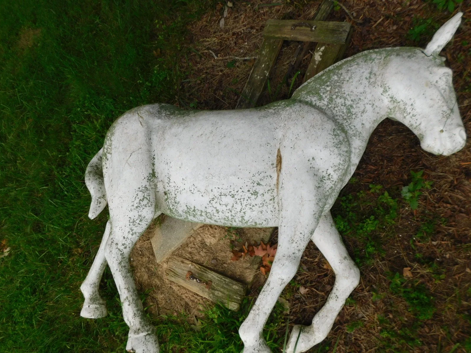 DSCN7683.JPG