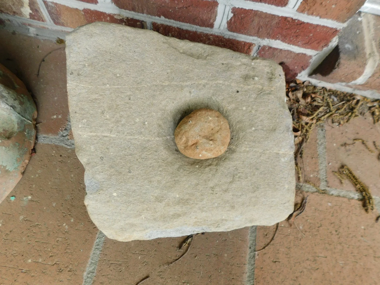 DSCN7687.JPG