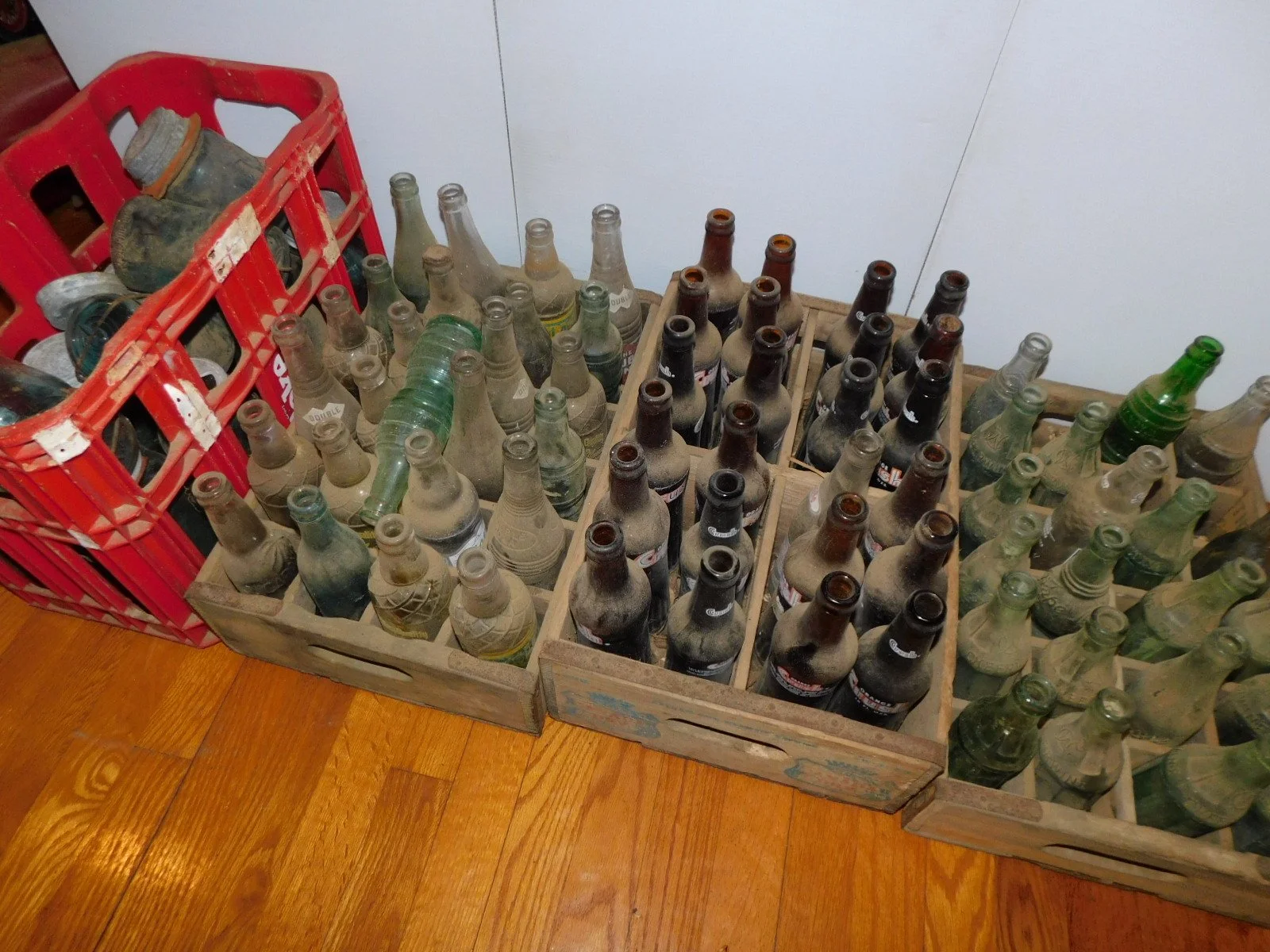 DSCN8269.JPG