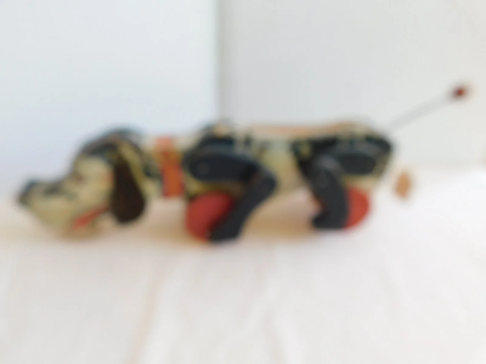 DSCN8291.JPG