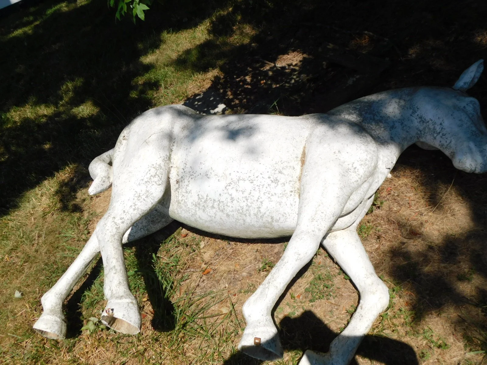 DSCN8430.JPG