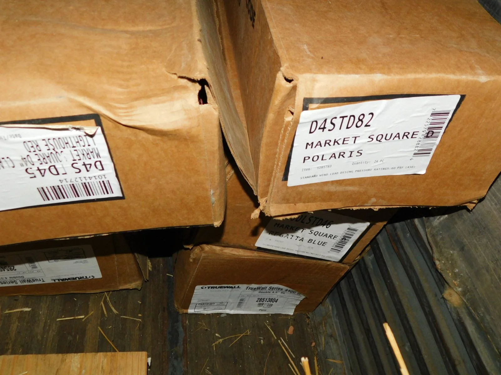 DSCN8088.JPG