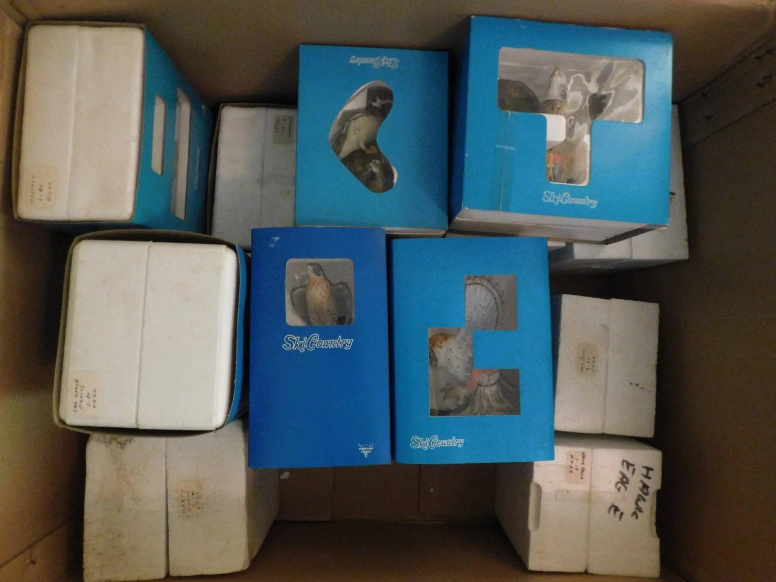 DSCN9053.JPG