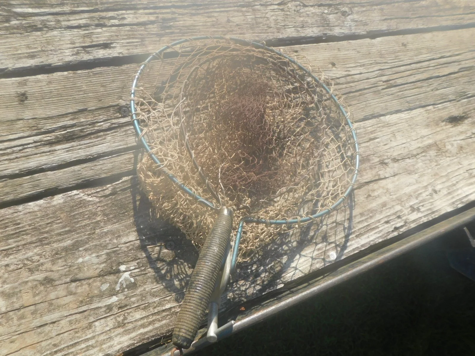 DSCN9498.JPG