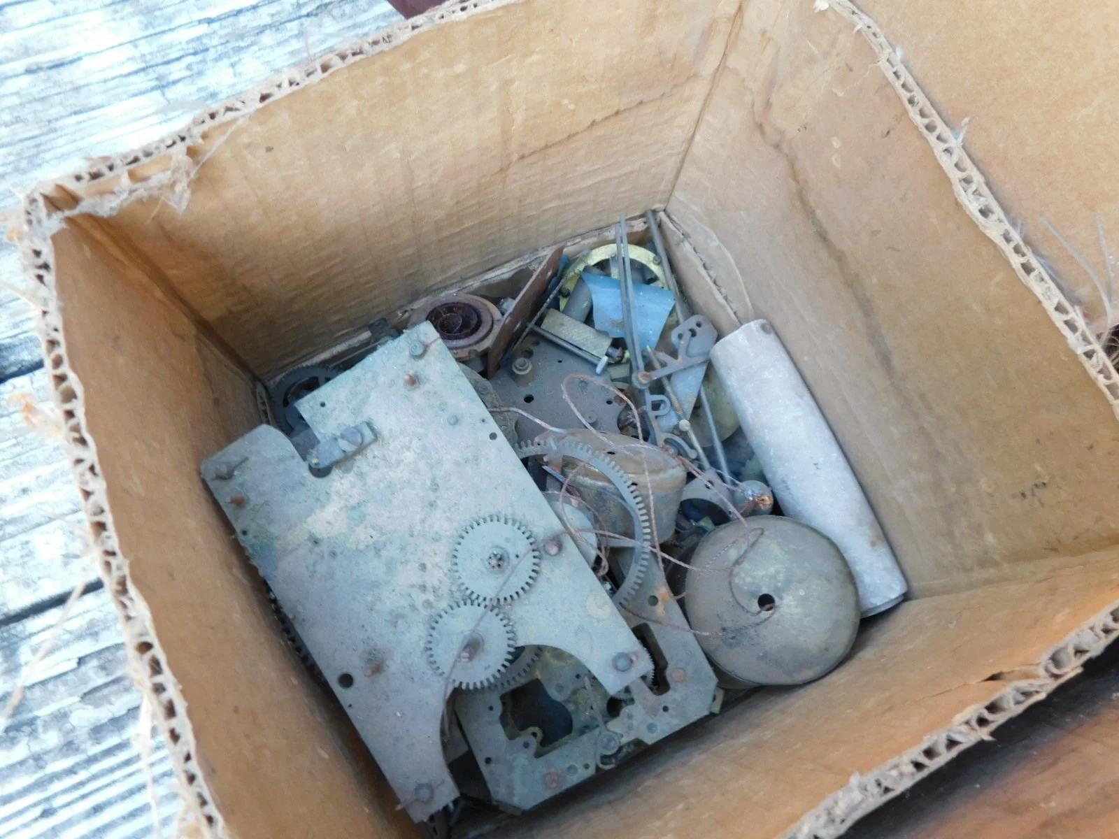 DSCN9509.JPG