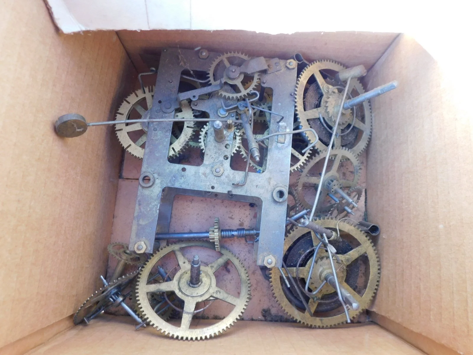 DSCN9519.JPG
