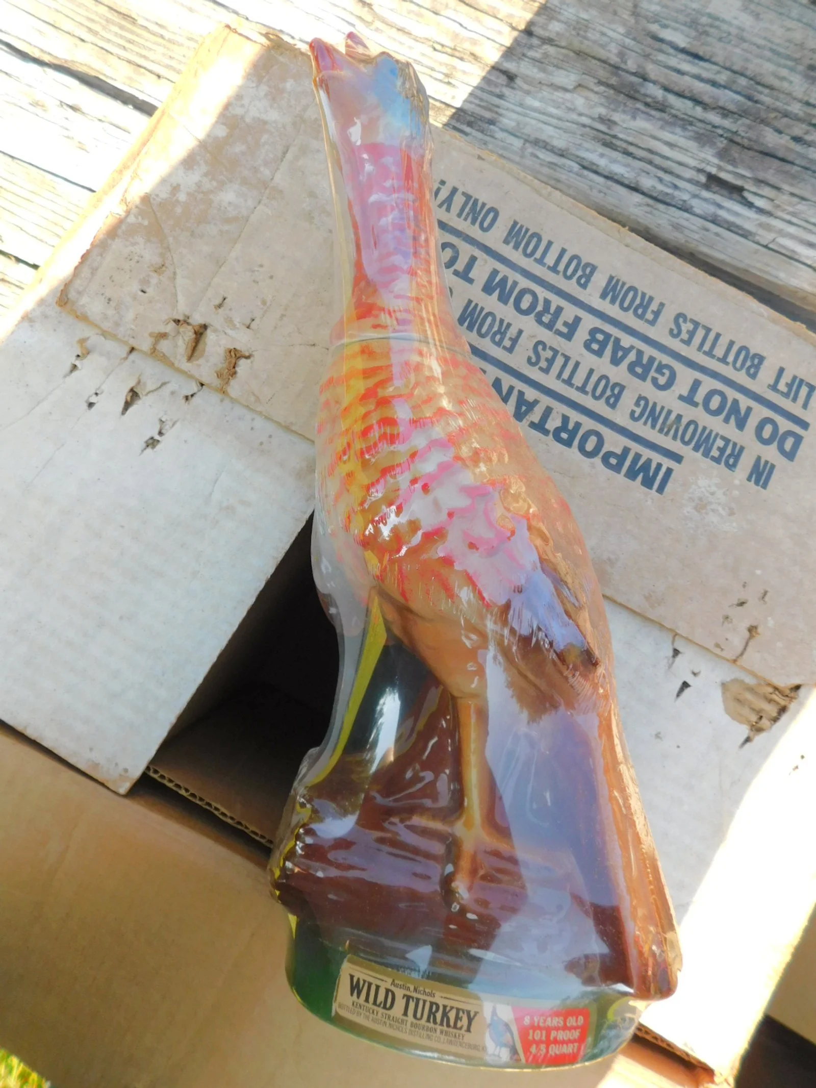 DSCN9531.JPG