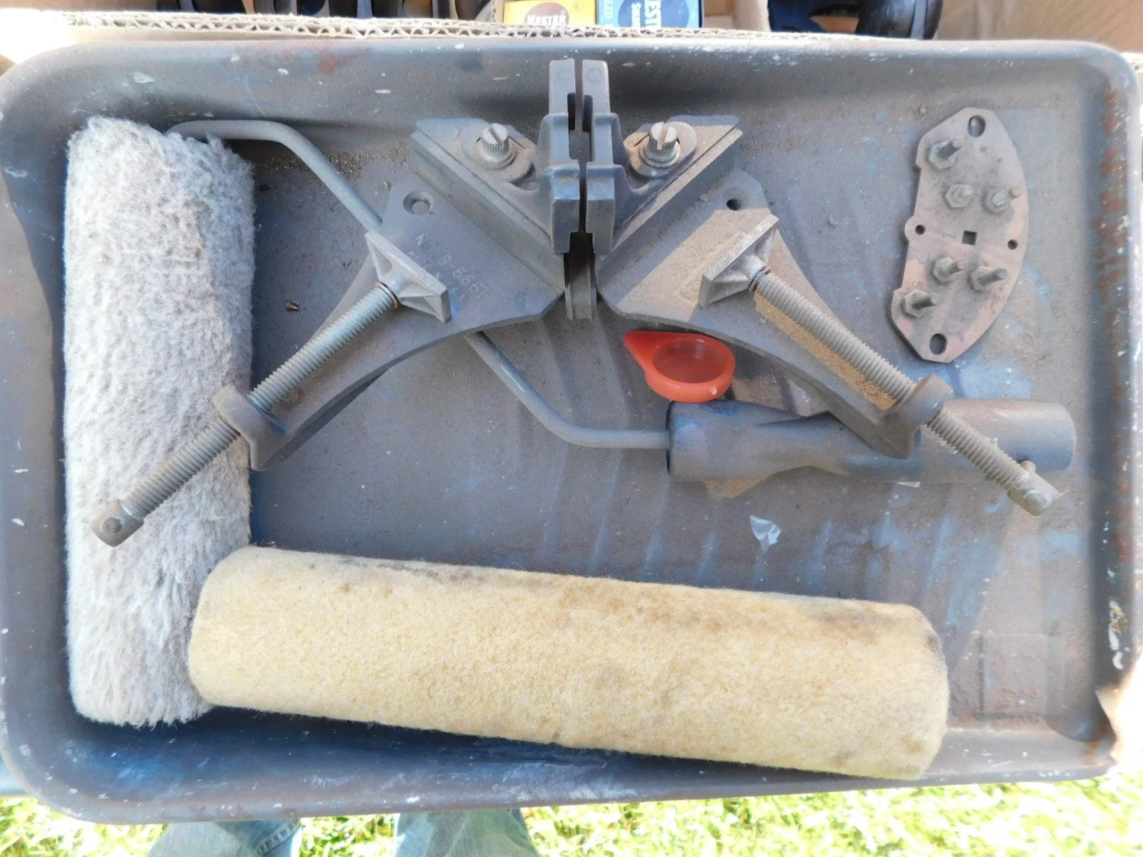 DSCN9535.JPG