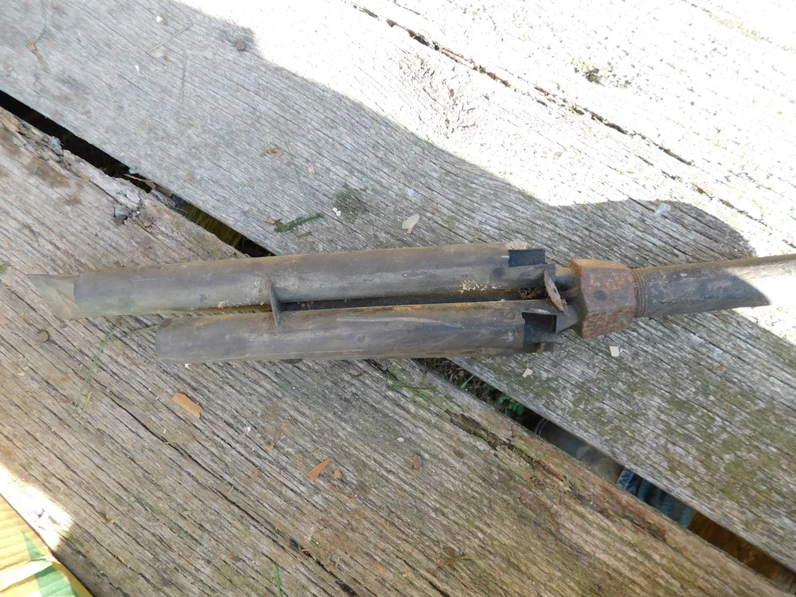 DSCN9550.JPG