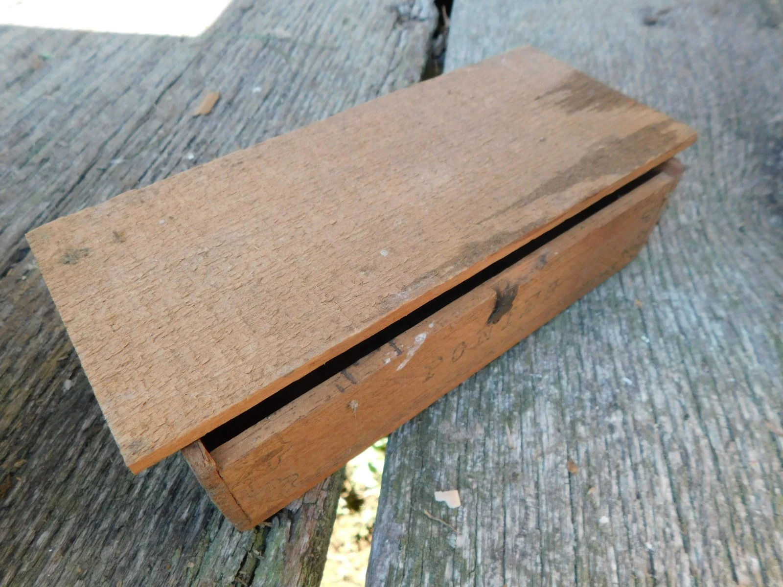 DSCN9555.JPG
